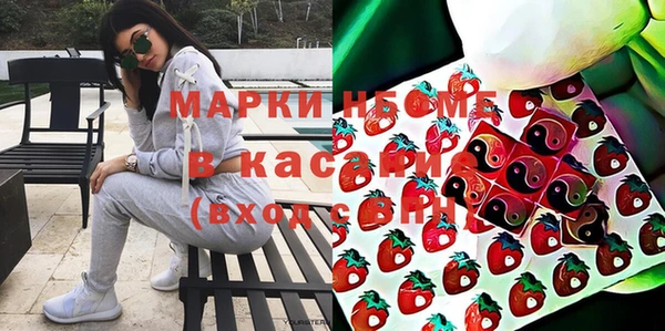 индика Новодвинск