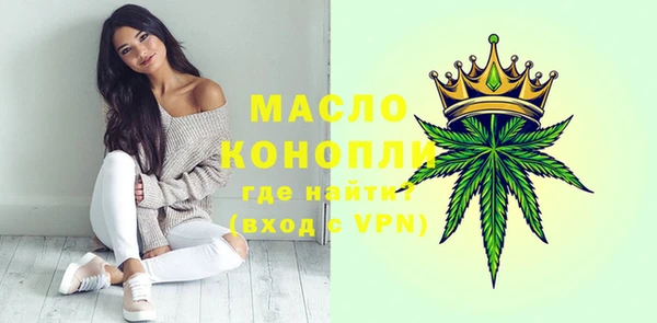 индика Новодвинск