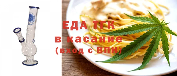 индика Новодвинск