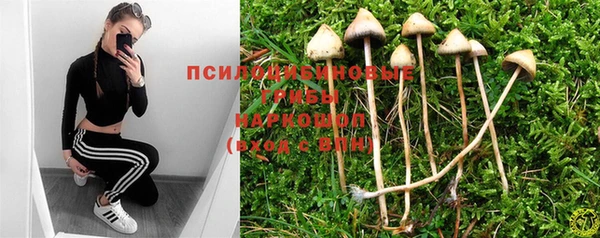 индика Нефтегорск