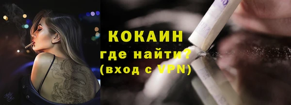 индика Новодвинск