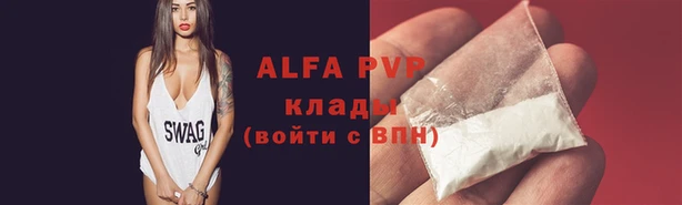 индика Нефтегорск
