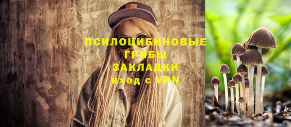 индика Нефтегорск