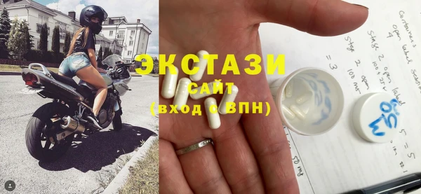 индика Новодвинск