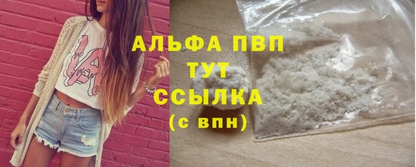 индика Новодвинск