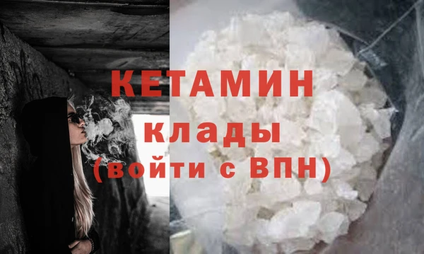 индика Новодвинск