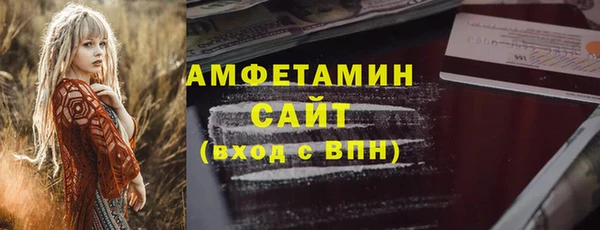 индика Новодвинск