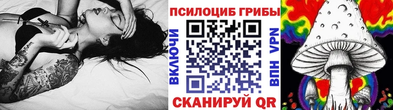 блэк спрут как зайти  Тюмень  Галлюциногенные грибы мицелий  купить  