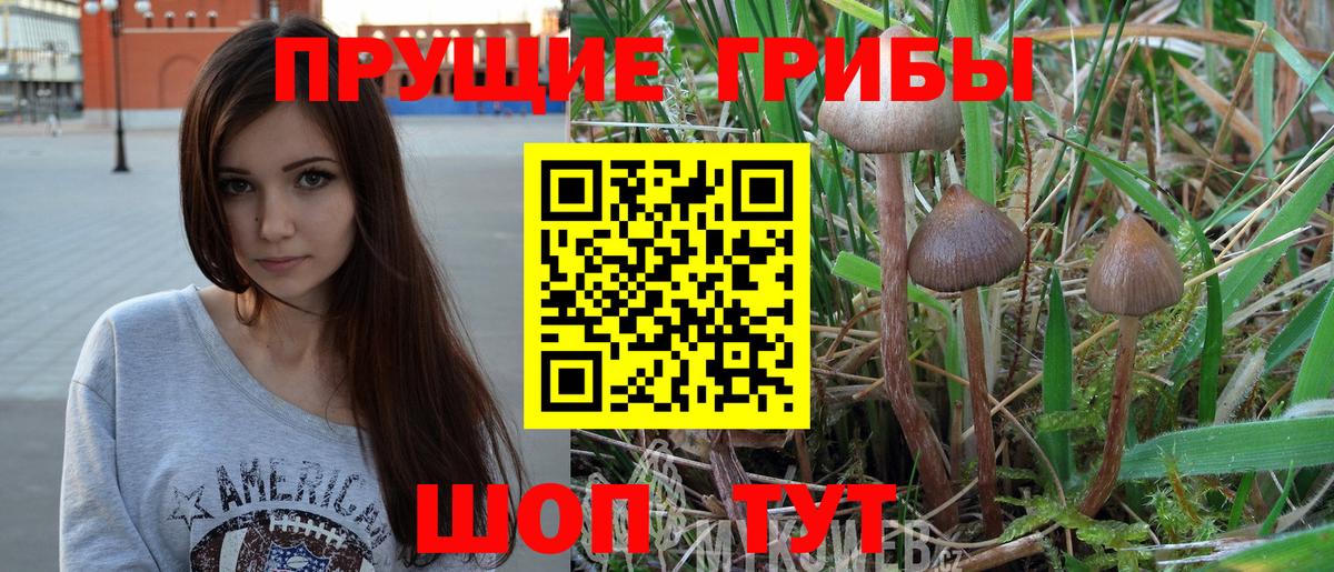 купить наркоту  Тюмень  Галлюциногенные грибы мухоморы 