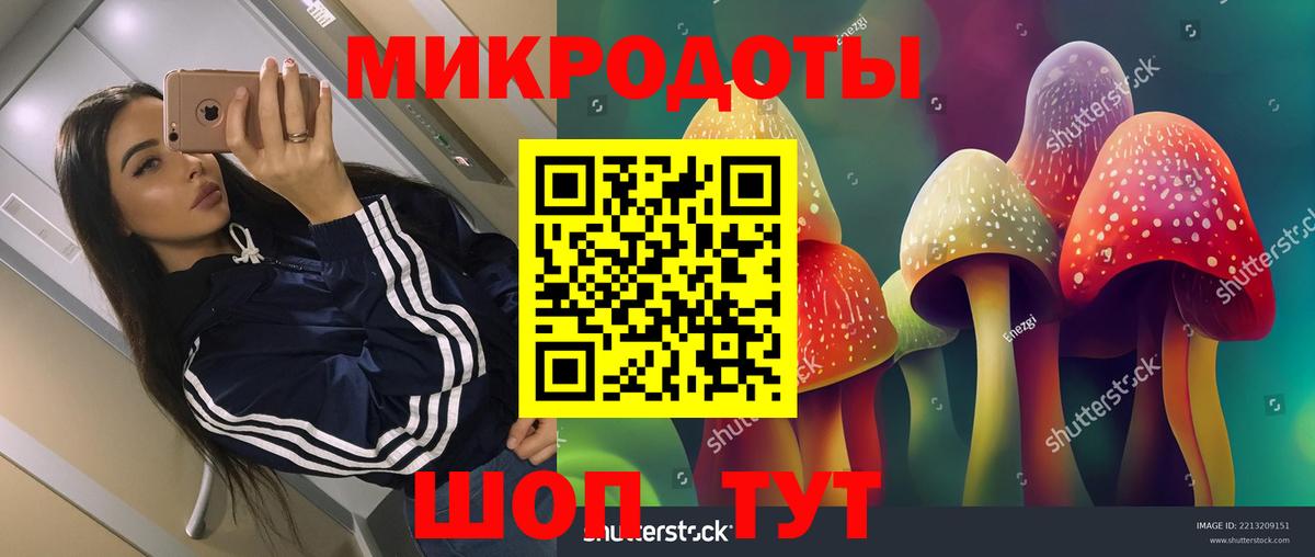 Галлюциногенные грибы Psilocybe  Псилоцибиновые грибы Cubensis  Тюмень  Вход с VPN 