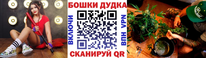 ссылка на мегу как зайти  Тюмень  Конопля план  магазин  наркотиков 